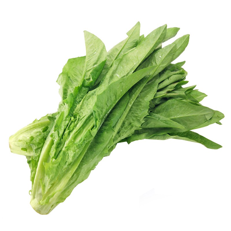 本地油麦菜 500g