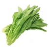 本地油麦菜 500g 商品缩略图0