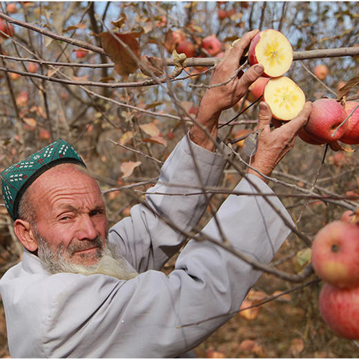 新疆阿克苏糖心苹果，清脆可口，果香浓郁 商品图5