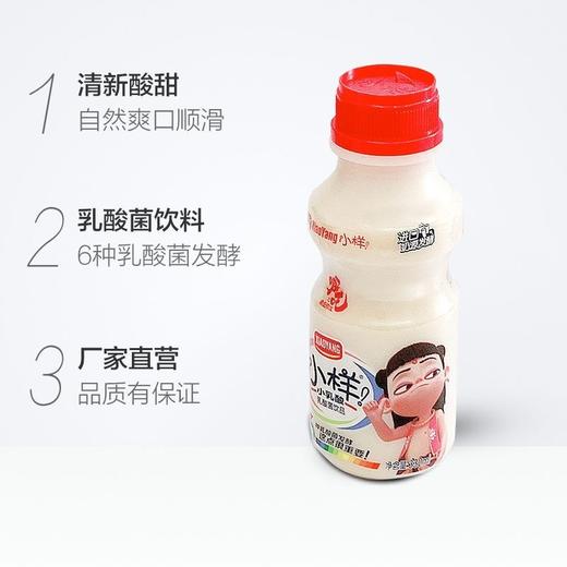 小样乳酸菌饮品330ml*12整箱儿童牛奶早餐奶
小样乳酸菌饮料100ml*20瓶整箱益生菌饮品酸奶风味酸牛奶哪吒联名 商品图7