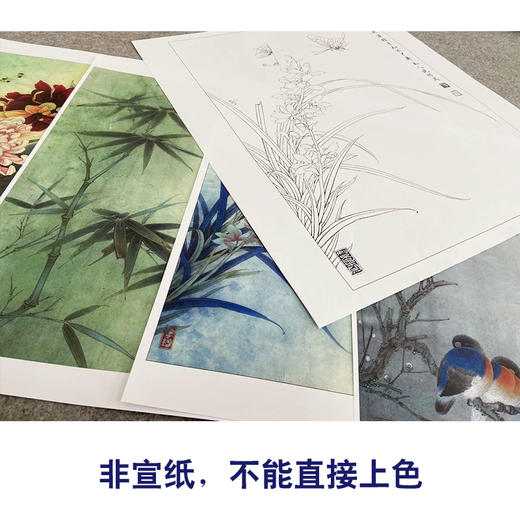 李晓明工笔画白描底稿梅兰竹菊一套四幅册页尺寸35×45厘米KF24 商品图2