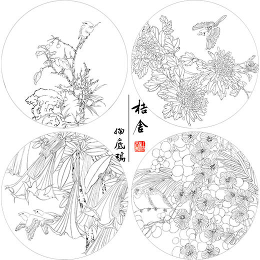 潘磊工笔画白描底稿菊花雀鸟一套四幅初学者尺寸42*42厘米TL05 商品图1