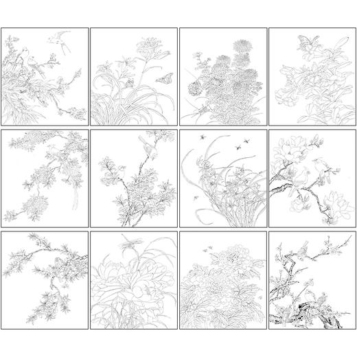余稚工笔画白描底稿花鸟小品一套十二幅册页初学者尺寸33×37厘米YT00 商品图1
