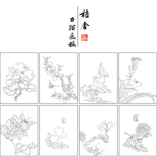 陈洪绶工笔画白描底稿花鸟草虫册小品一套十二幅册页尺寸30*40厘米MT01 商品图1