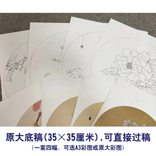 戴青池工笔画白描底稿牡丹翠鸟一套四幅初学者尺寸35*35厘米TD03 商品图2