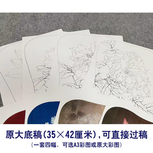 李晓明工笔花鸟画白描底稿荷花牡丹小品一套四幅册页初学者尺寸35*42厘米TW05 商品图2