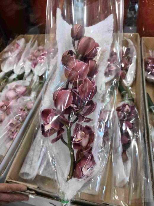 配花-大花蕙兰-红色 商品图2