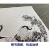 戴青池工笔画白描底稿松龄鹤一套四幅初学者尺寸35×35厘米TD02 商品缩略图4