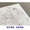李晓明工笔花鸟画白描底稿牡丹蝴蝶一套四幅册页初学者尺寸40×40厘米TW02 商品缩略图4