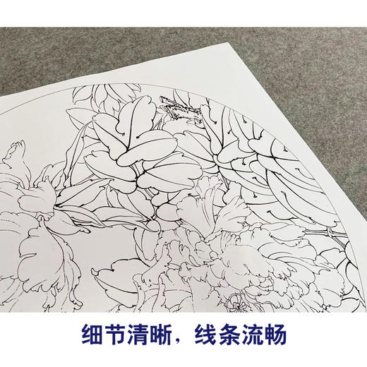 李晓明工笔花鸟画白描底稿牡丹蝴蝶一套四幅册页初学者尺寸40×40厘米TW02 商品图4