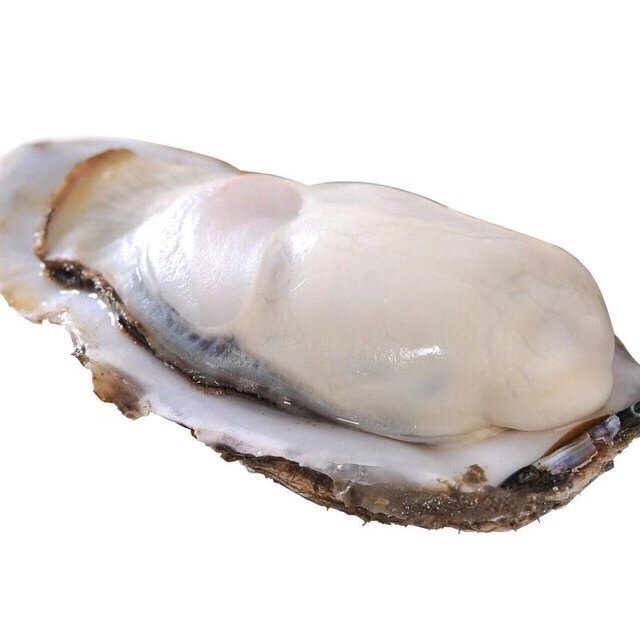 【顺丰直达乳山直邮】2025乳山生蚝季!!新鲜牡蛎 生蚝 海蛎子，重量区间±250g基地直邮