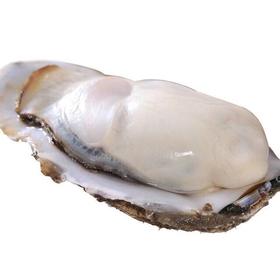 【顺丰直达乳山直邮】2025乳山生蚝季!!新鲜牡蛎 生蚝 海蛎子，重量区间±250g基地直邮