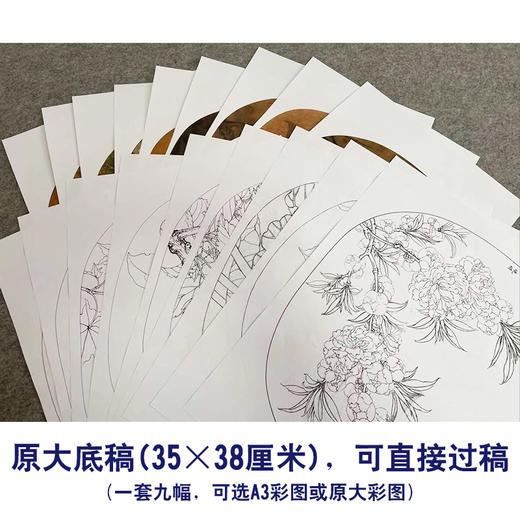 李晓明工笔花鸟画白描底稿蝴蝶荷花小品一套九幅册页初学者尺寸35×38厘米TW07 商品图2