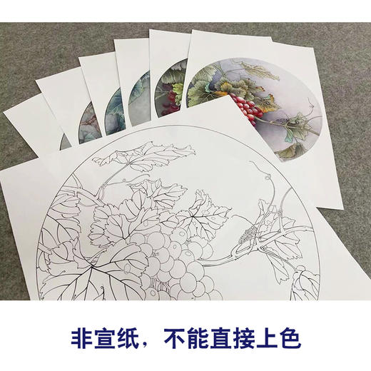 於文普工笔花鸟画白描底稿葡萄小品一套六幅册页尺寸42×42厘米花鸟线稿TA02 商品图3