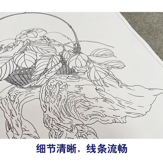 王震工笔花鸟画白描底稿桃花牡丹小品一套四幅册页原大42×42厘米花鸟线稿TA03 商品图4