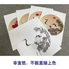 戴青池工笔画白描底稿松龄鹤一套四幅初学者尺寸35×35厘米TD02 商品缩略图3