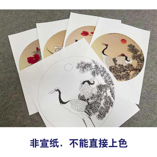 戴青池工笔画白描底稿松龄鹤一套四幅初学者尺寸35×35厘米TD02 商品图3