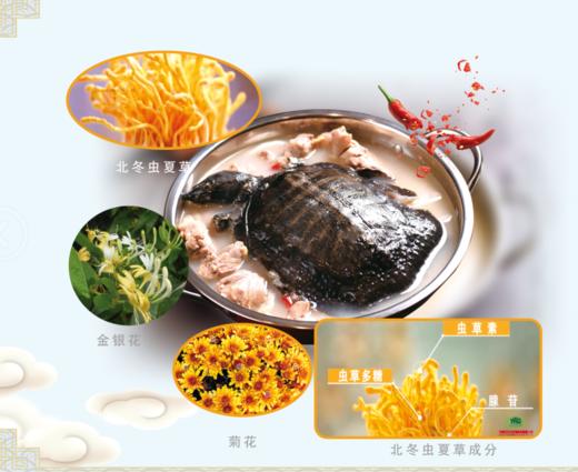 吉元同庆（虫草甲鱼鸡） 商品图1