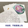 李晓明工笔花鸟画白描底稿牡丹蝴蝶一套四幅册页初学者尺寸40×40厘米TW02 商品缩略图3