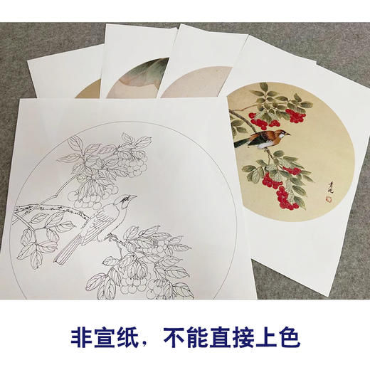 戴青池工笔画白描底稿樱桃翠鸟一套四幅初学者尺寸35*35厘米TD04 商品图3