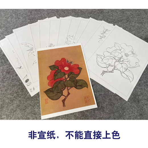 陈洪绶工笔画白描底稿花鸟草虫册小品一套十二幅册页尺寸30*40厘米MT01 商品图3
