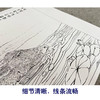 郑路迅工笔动物画白描底稿十二生肖小品一套十二幅册页尺寸36×50厘米LX00 商品缩略图4