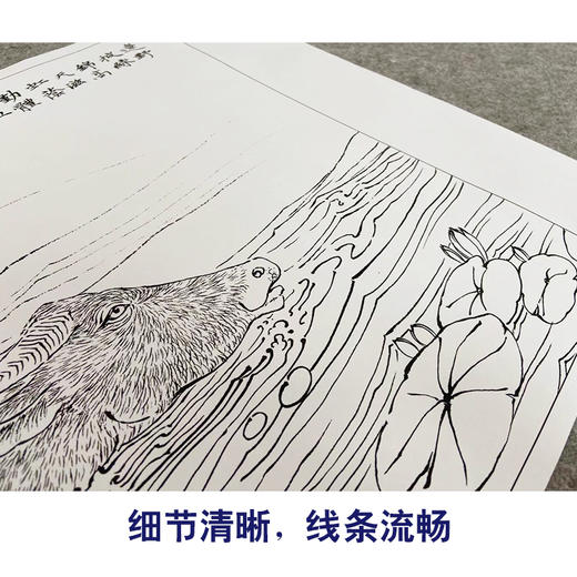 郑路迅工笔动物画白描底稿十二生肖小品一套十二幅册页尺寸36×50厘米LX00 商品图4