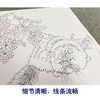 李保山工笔画白描底稿熊猫狗一套六幅初学者尺寸42×42厘米TB01 商品缩略图4