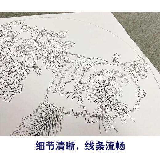 李保山工笔画白描底稿熊猫狗一套六幅初学者尺寸42×42厘米TB01 商品图4
