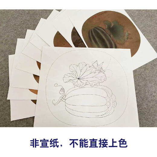 李晓明工笔花鸟画白描底稿麻雀葡萄小品一套九幅册页初学者尺寸35×38厘米TW08 商品图2