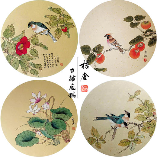 戴青池工笔画白描底稿荷花一套四幅初学者尺寸35*35厘米TD06 商品图0