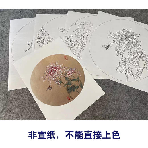 潘磊工笔画白描底稿蝴蝶雀鸟一套四幅初学者尺寸42*42厘米TL03 商品图3