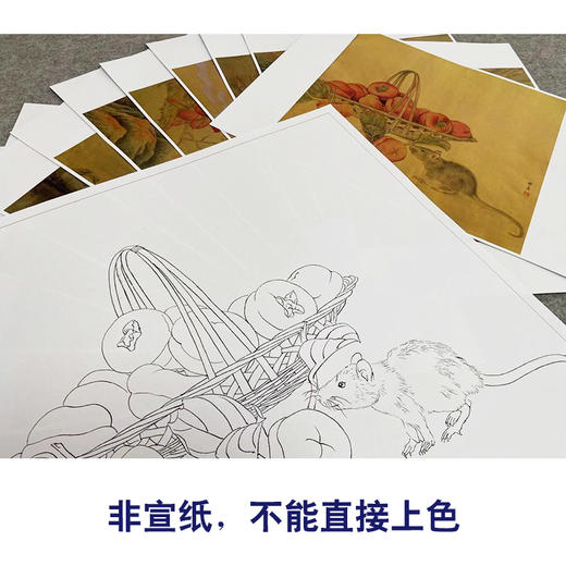 孙锡之工笔动物画白描底稿十二生肖小品一套十二幅册页初学尺寸42×42厘米SY00 商品图4