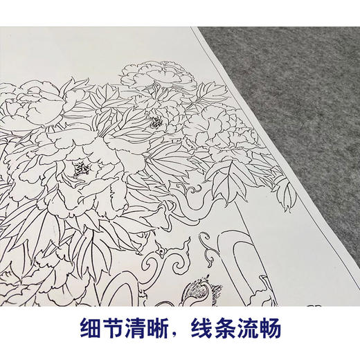 龚雪青工笔画白描底稿荷花花瓶一套四幅初学者尺寸42*66厘米TG05 商品图4