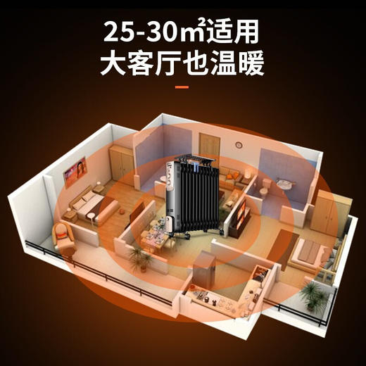 先锋(SingFun)家用取暖器电暖器电暖气节能低噪安全全屋速热加湿干衣 13片DYT-Z2 商品图2