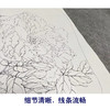 李晓明工笔花鸟画白描底稿荷花牡丹小品一套四幅册页初学者尺寸35*42厘米TW05 商品缩略图4