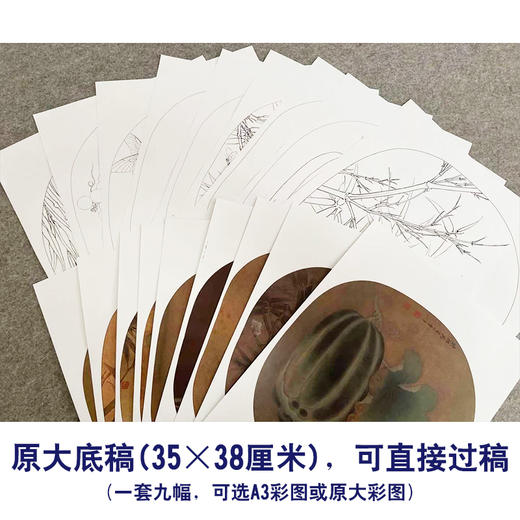李晓明工笔花鸟画白描底稿麻雀葡萄小品一套九幅册页初学者尺寸35×38厘米TW08 商品图3