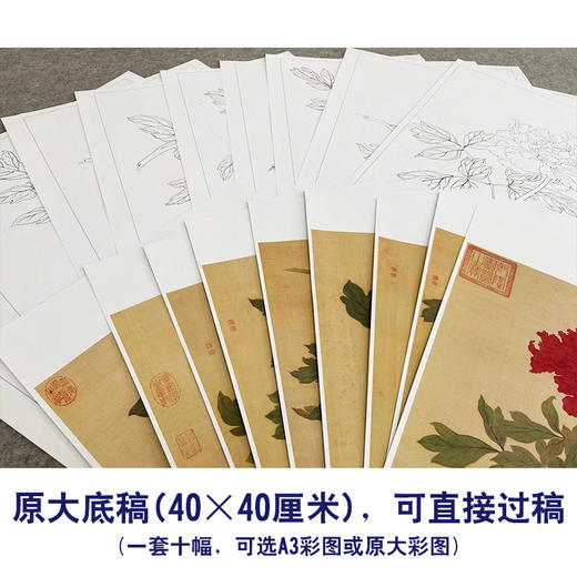 蒋廷锡工笔花鸟画白描底稿牡丹谱小品一套十幅册页初学者尺寸40*40厘米JT00 商品图2