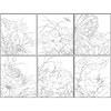 李晓明工笔花鸟画白描底稿荷花一套六幅册页尺寸35×40厘米花鸟线稿KF26 商品缩略图1