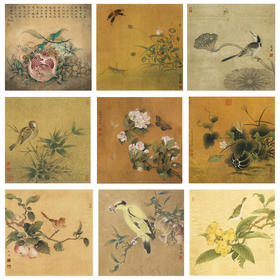李晓明工笔花鸟画白描底稿翠鸟石榴斗方小品一套九幅册页初学者尺寸35×35厘米TW09