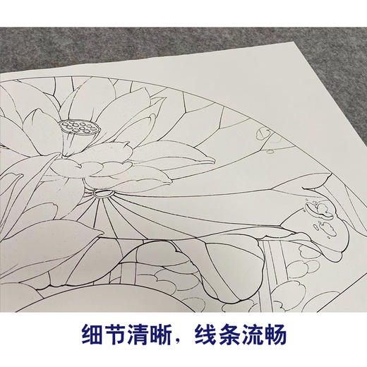 李晓明工笔花鸟画白描底稿牡丹荷花扇面小品一套四幅册页初学者尺寸32*63厘米TW04 商品图4