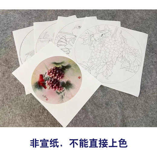 龚雪青工笔画白描底稿葡萄鲤鱼一套四张初学者尺寸42*42厘米TG03 商品图2