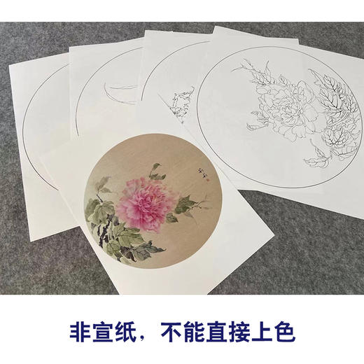 张莉莉工笔画白描底稿牡丹萝卜一套四幅初学者尺寸40*40厘米TZ01 商品图3