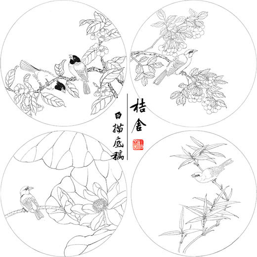 戴青池工笔画白描底稿樱桃翠鸟一套四幅初学者尺寸35*35厘米TD04 商品图1