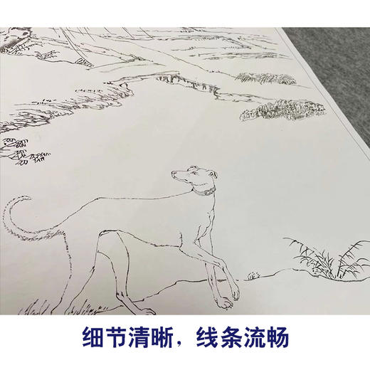 艾启蒙工笔动物画白描底稿金翅猃斑锦彪小品一套十幅册页尺寸42*52厘米GG02 商品图3