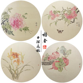 张莉莉工笔画白描底稿牡丹萝卜一套四幅初学者尺寸40*40厘米TZ01