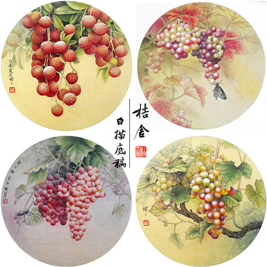 孙锡之工笔花鸟画白描底稿葡萄荔枝小品一套四幅册页初学者尺寸42×42厘米TA01 商品图0