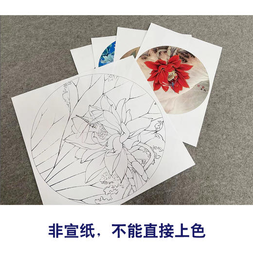 李晓明工笔花鸟画白描底稿葡萄牡丹小品一套四幅册页初学者尺寸42×42厘米TW01 商品图3
