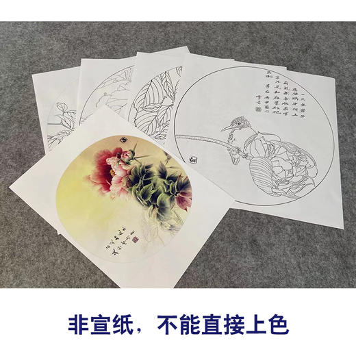 龚雪青工笔画白描底稿南瓜松鼠一套四幅初学者尺寸42*42厘米TG04 商品图3