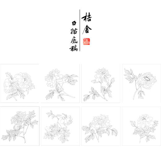 蒋廷锡工笔花鸟画白描底稿牡丹谱小品一套十幅册页初学者尺寸40*40厘米JT00 商品图1